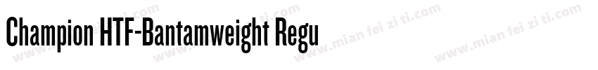 Champion HTF-Bantamweight Regular字体转换